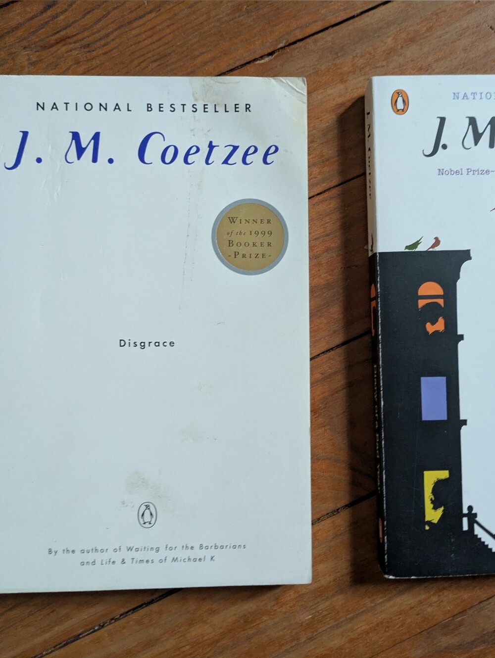 Books- Trade Paperbacks By J.M. Coetzee